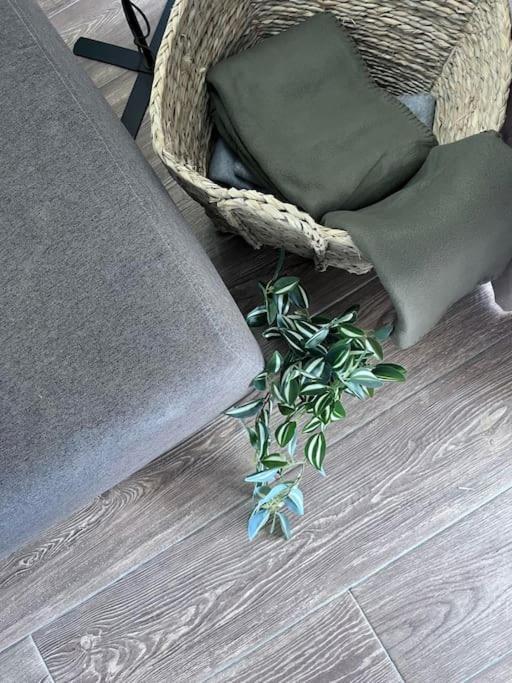 Sea-mist Luxury Escape Appartement